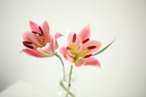 How To Decorate Your Living Room With Faux Lilies
