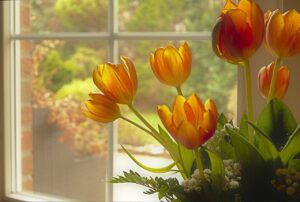 How to Decorate your Walls with Artificial Tulips