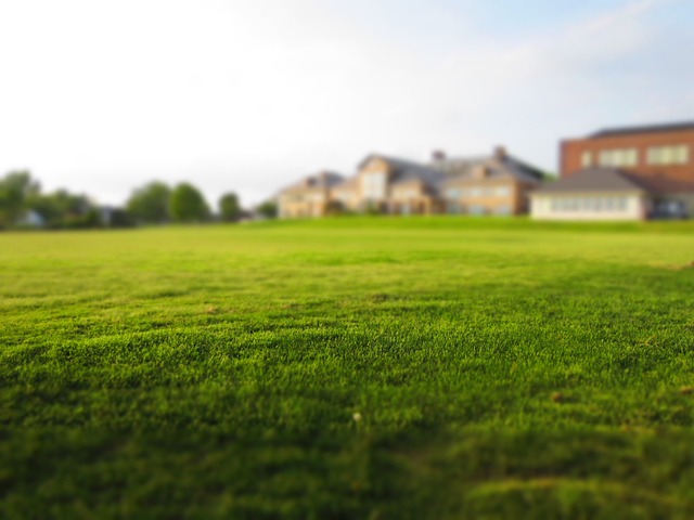 How to Extend the Lifespan of Artificial Grass