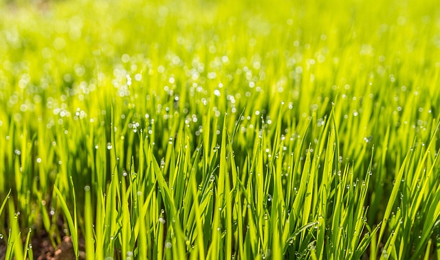 What affects the lifespan of artificial turf