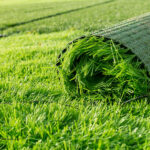 How Often Does Artificial Turf Need To Be Replaced