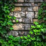 How to Install Artificial Green Wall